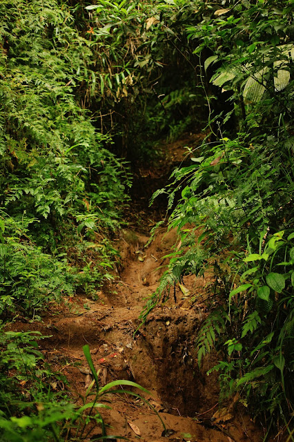 Hiking Gn. Salak Mepo Basecamp Cimelati